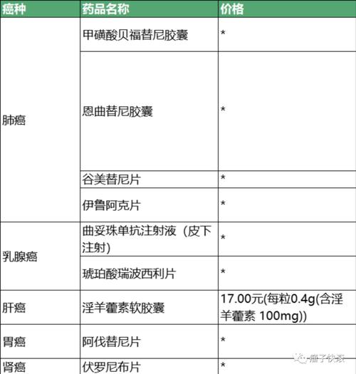 北京2024肿瘤药物公司排名深度解析：选对平台让高价药不再闲置